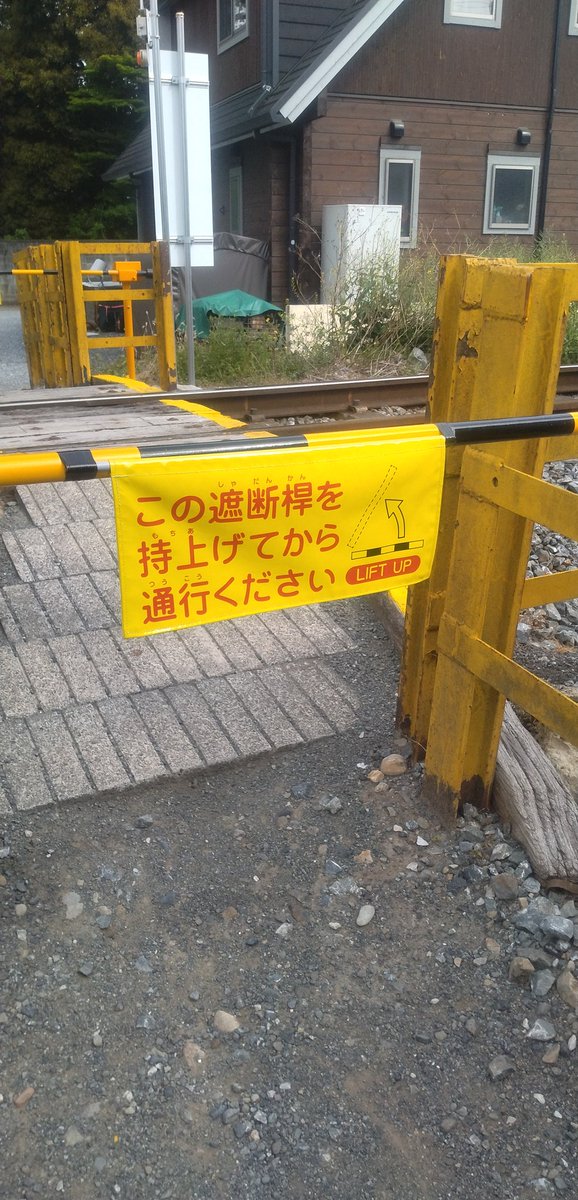 ♚ねおきんぐ📷️🎵🎸📚️ tweet media