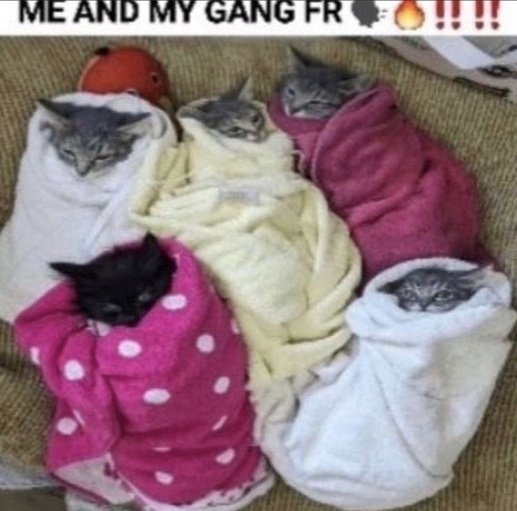 annie ☆.࣪⋆ tweet media