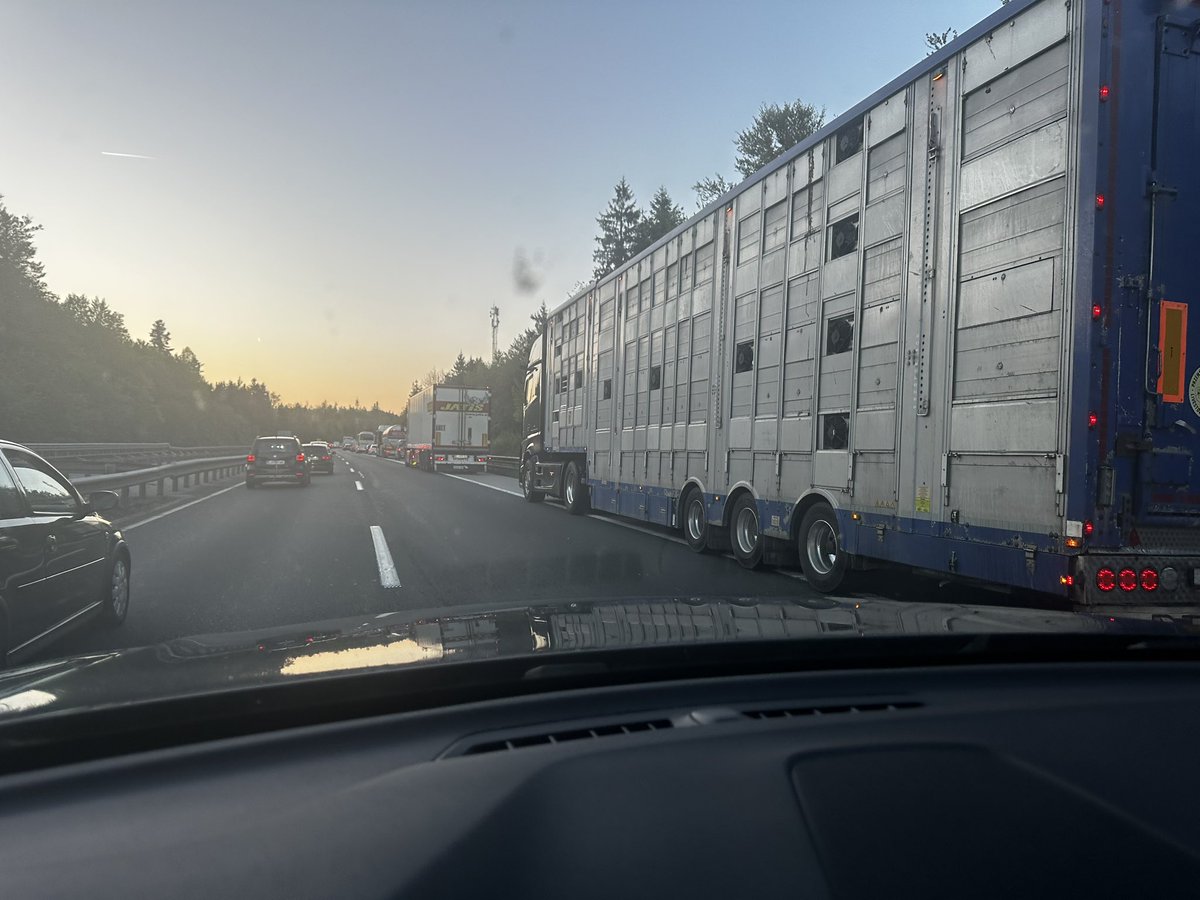 BojanPožar tweet media