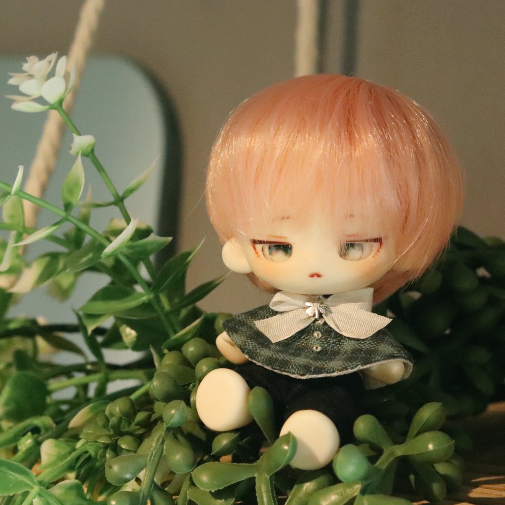 사진 공부 열심히 하기.