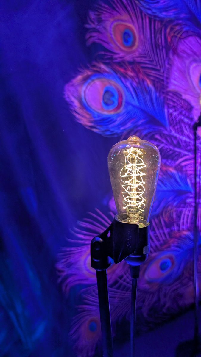 SolarstromSimon's tweet image. Heute kein Energie Post, sondern Empfehlung Vortrag bei den Gartentagen von 10 bis 17 Uhr am 26.4.26 der Gärtnerei Baumeister um 15 Uhr "Aus dem Leben der Bienen" Insekten freundliche Garten  solarstrom-simon.de/2026/04/26/heu…  #Solar #Simon #Blumen #Biene #Blühwiese #Garten #Umweltschutz