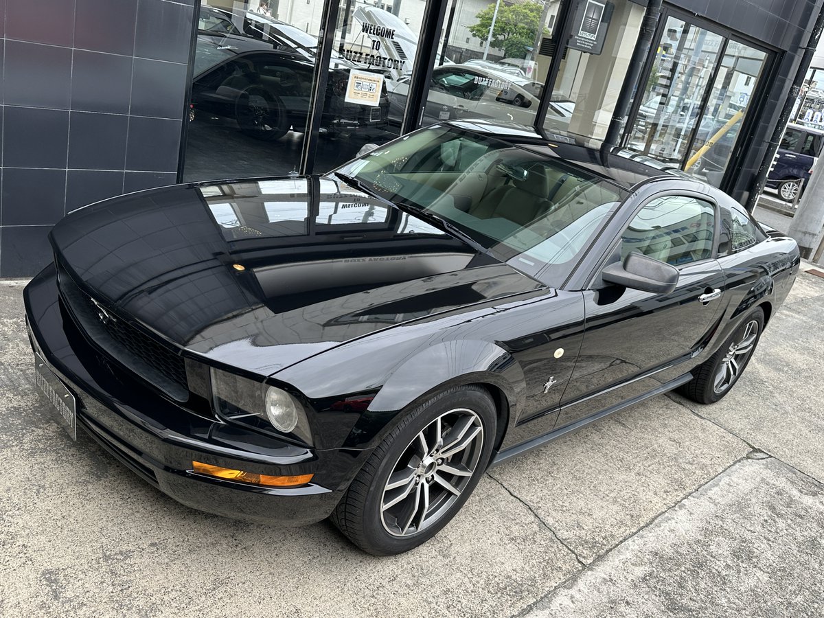 buzzfactory_'s tweet photo. S様、2006y マスタング V6クーペ ご成約ありがとうございました！

納車まで楽しみにお待ちください😃

まだまだ元気に、30日（木）までスプリングセール開催中です！

#アメ車 #BUZZFACTORY #バズファクトリー #マスタング #スプリングセール #売約御礼  #川越 https://t.co/yp7KlvA1yK