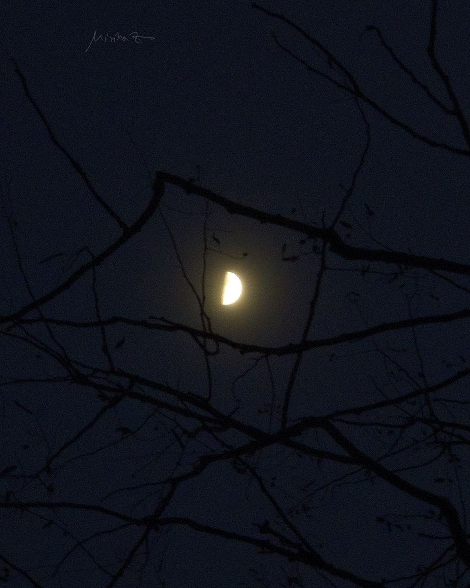 smartphone_astr's tweet image. By @muhd_minhaz / #Oneplus 8 Pro 2.2x (57mm optical) lens and Gcam AGC8.8(custom lib) combo - #mobile_photography #smartphone_astrophotography #Moon @MoonHourSocial