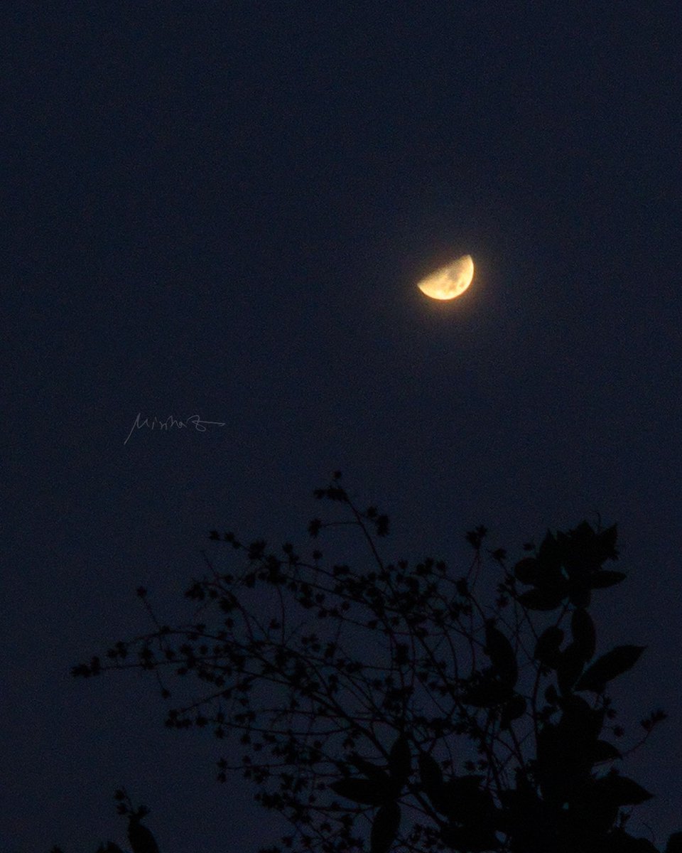 smartphone_astr's tweet image. By @muhd_minhaz / #Oneplus 8 Pro 2.2x (57mm optical) lens and Gcam AGC8.8(custom lib) combo - #mobile_photography #smartphone_astrophotography #Moon @MoonHourSocial