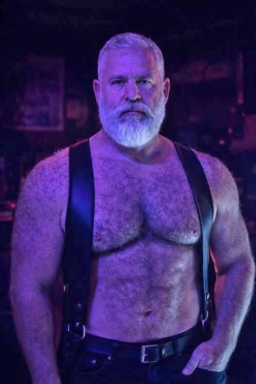 Bi-Logical tweet media