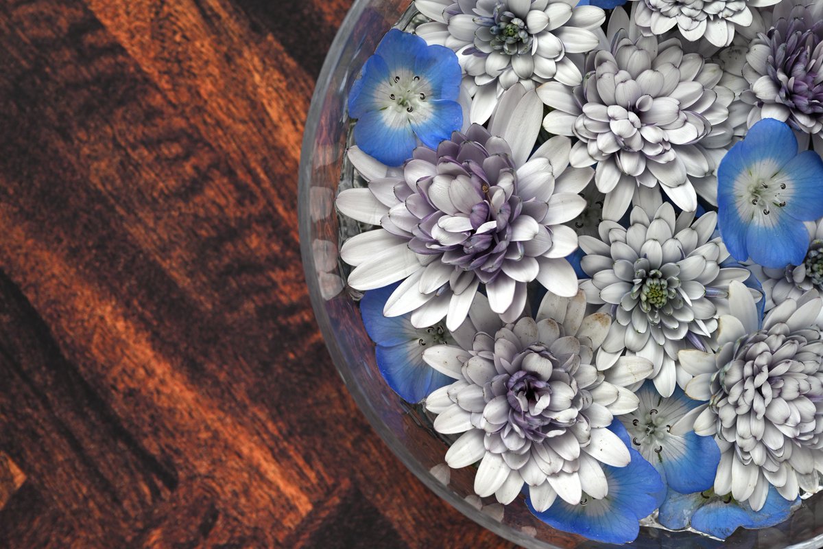 s_kouichi's tweet image. 今年はじめに血を流す思いで買った #NIKON #Z5II
機能としては心底感嘆するも、出てくる画像は私の好みとは違うかも？　が正直な気持ち。(あくまで好みの問題よ)

なのでRAWで撮ってパソコン側で調整しているのだけで、これはこれでめっちゃおもしろい。(でもいじりすぎて不自然に・・)