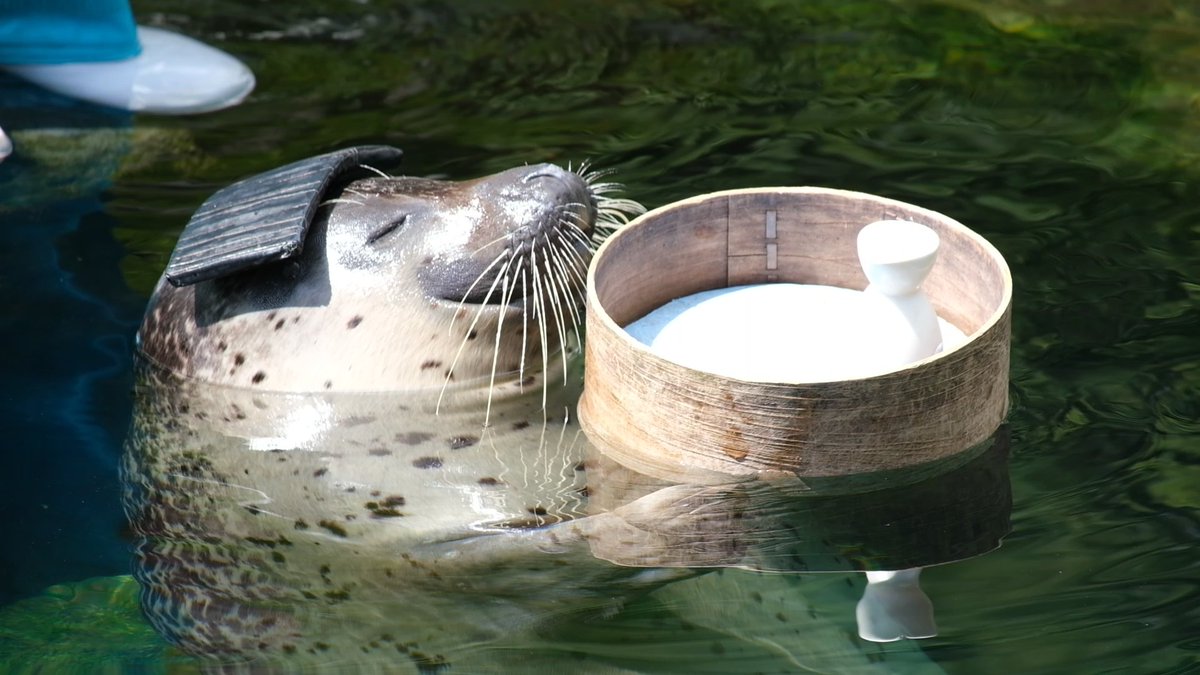 グリーン tweet media