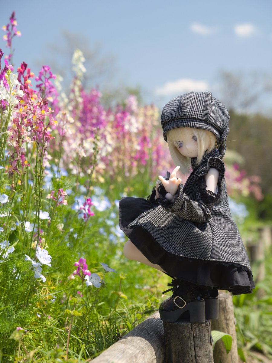 NIKOx2Hurtman's tweet photo. #magっこ #うちのこかわいい https://t.co/hyEUje7RXn