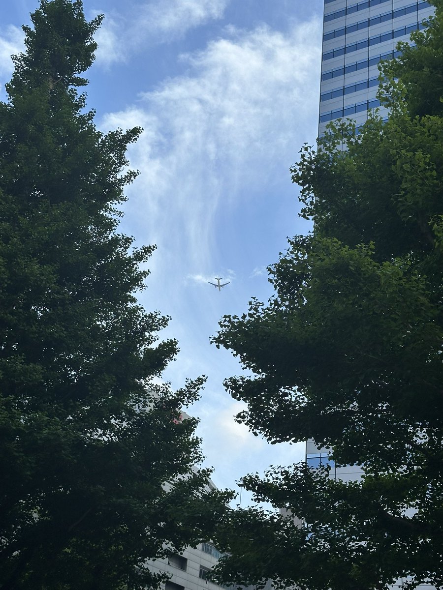 ぺっぽこ丸@ポコ丸（ポコニャン2） tweet media