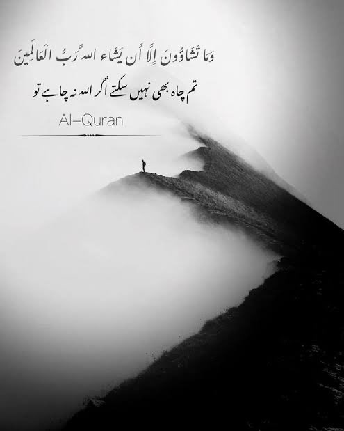 Zeb Shabbir tweet media