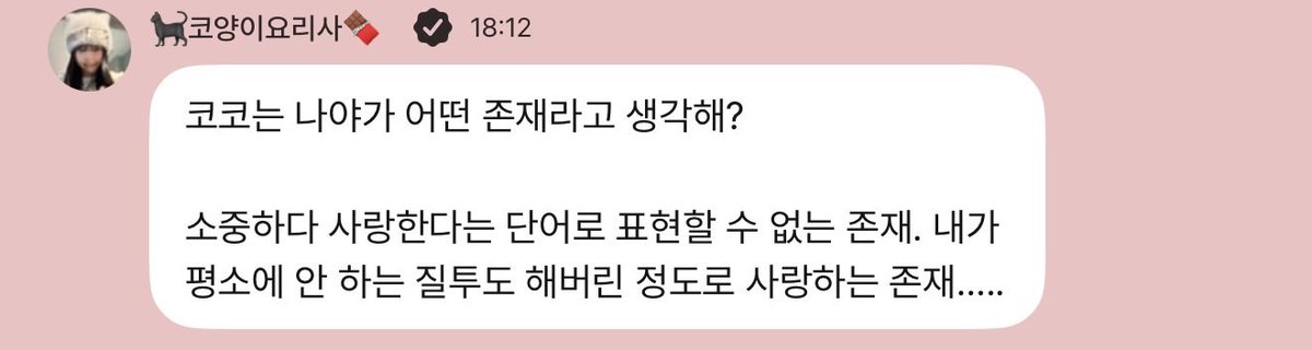 꼬양이 tweet media