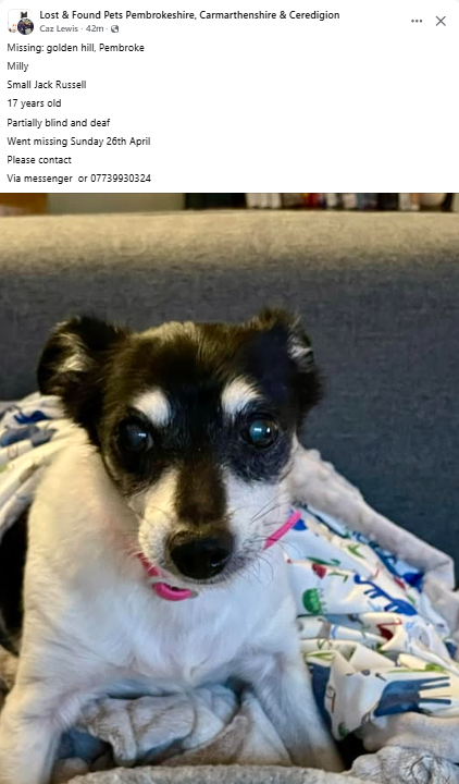 PDRescue's tweet image. Elderly dog missing #Pembroke 

facebook.com/photo/?fbid=10…

@team_greenacres