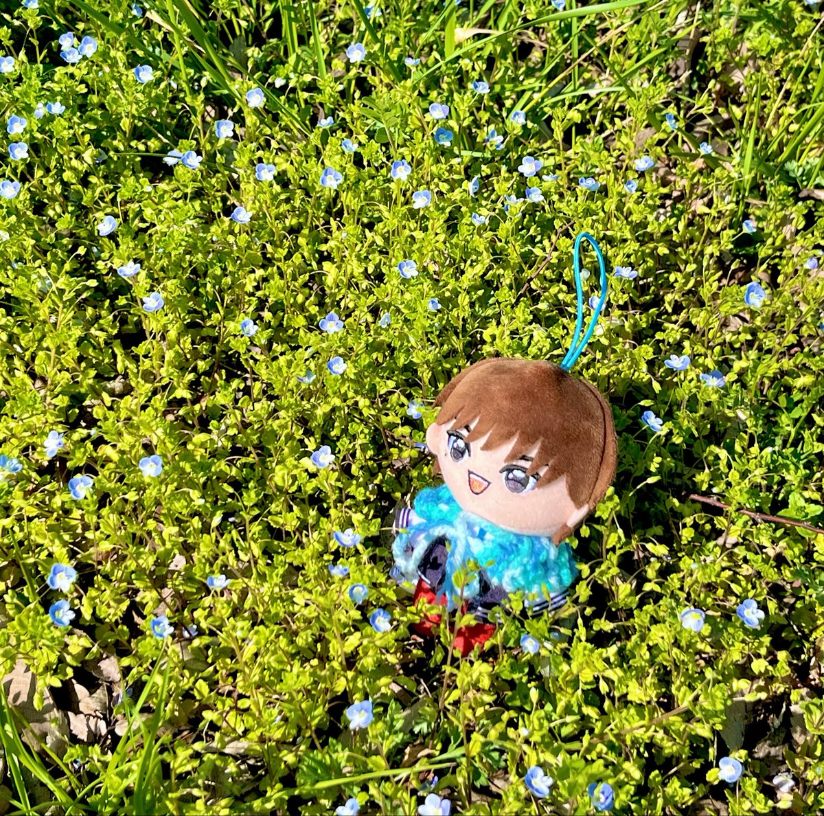 GoraniJAM's tweet photo. 春。。🌸🌼💐 https://t.co/jDW4SMmpum