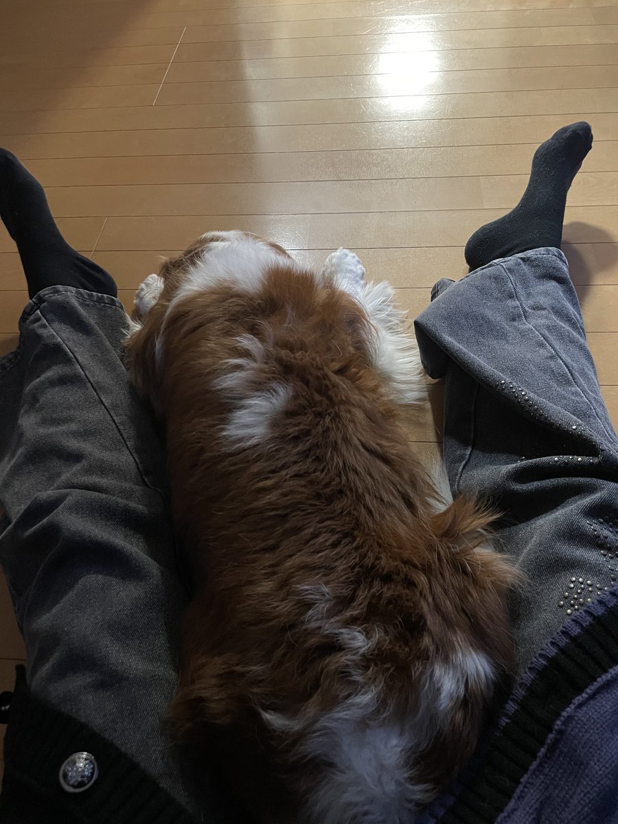 🌱Xanaトーーーーク！！！🌱 tweet media