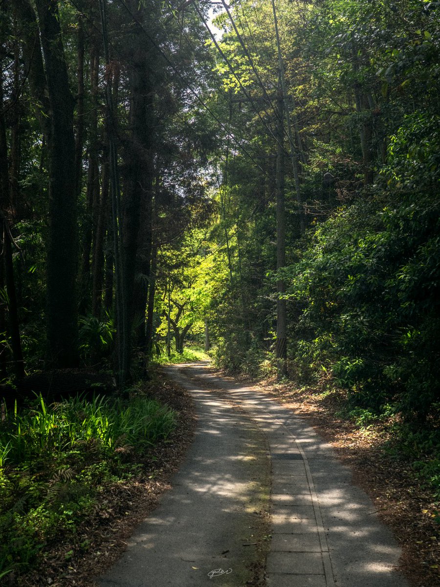 YutoPhotography's tweet photo. 三重県で撮った日本の原風景 https://t.co/3G0LCWing7