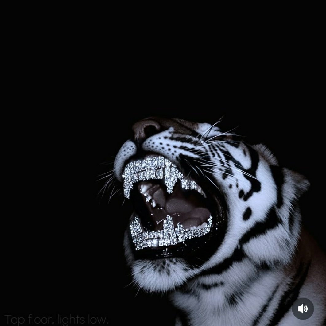 habbeyoduni's tweet image. #NewProfilePic