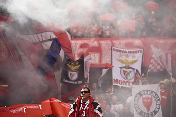 Diogo Oliveira tweet media