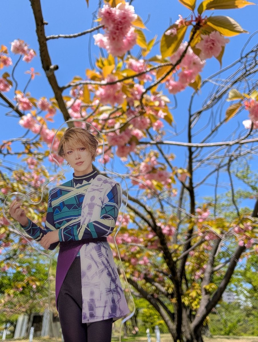 ティア tweet media