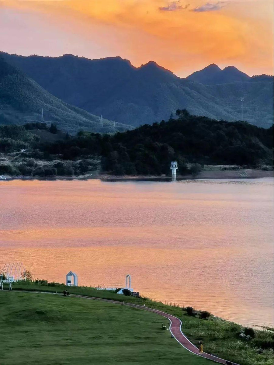 guy tweet media