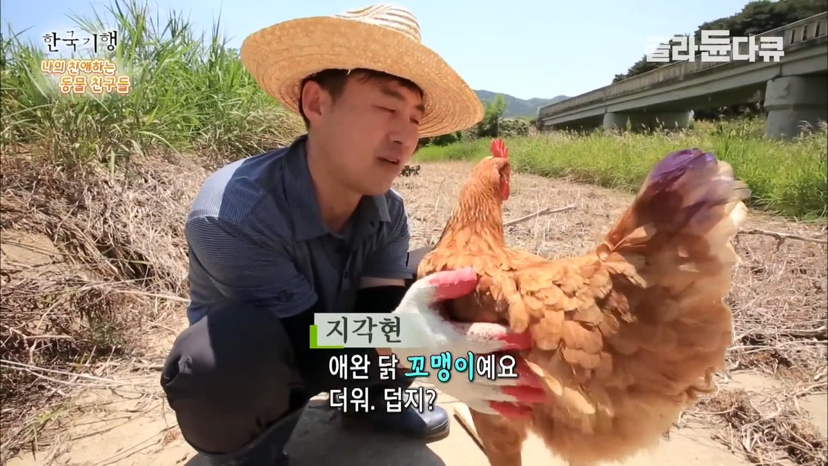 남에 갤러리 tweet media