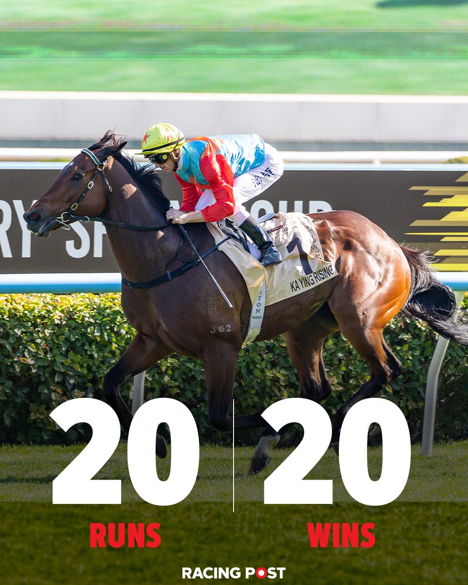 Racing Post tweet media