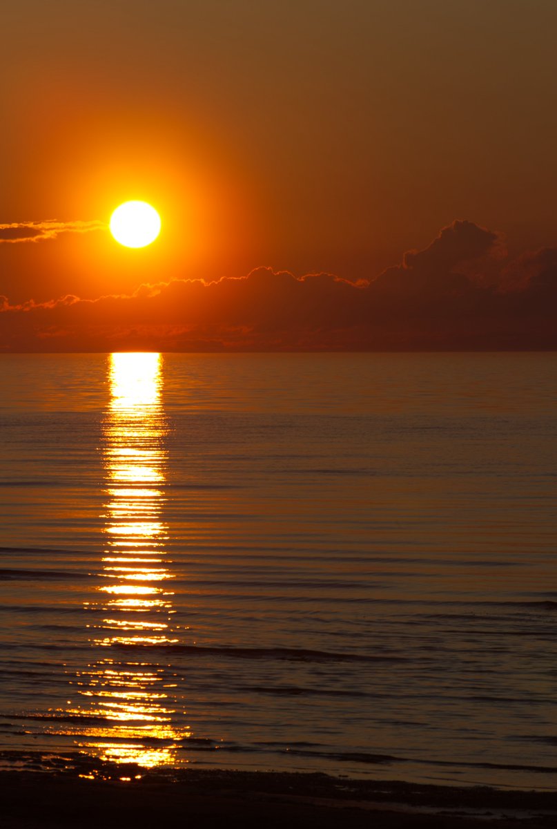 Run_fly_Smile's tweet image. Evening lights 😊
Baltic Sea        
Latvia 🇱🇻 

#Latvia #Sea #BalticSea #Sunset