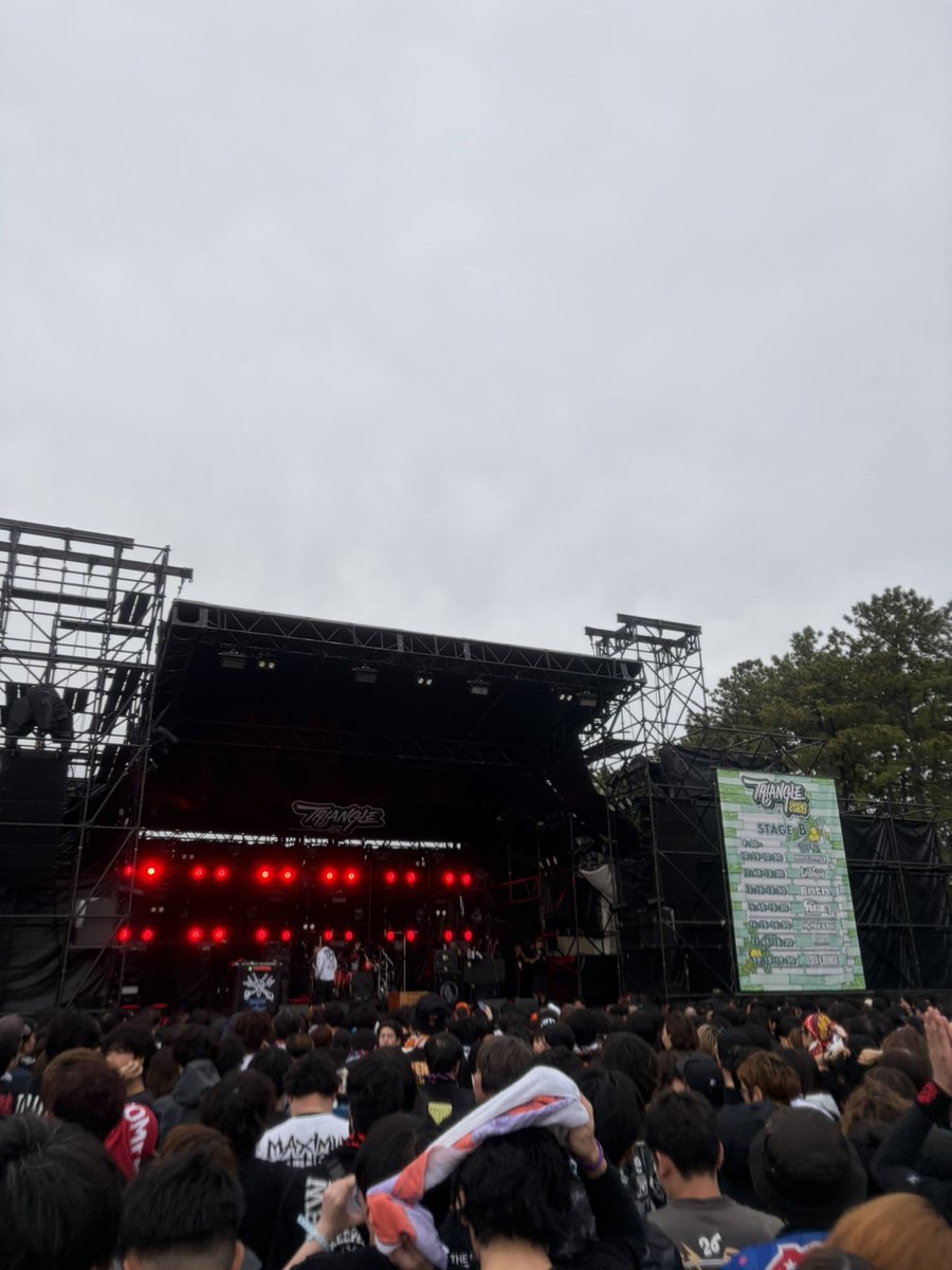こむぎ tweet media