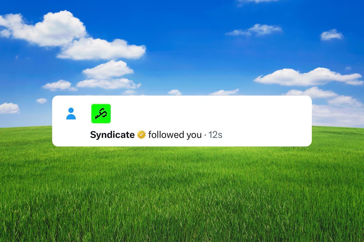 Syndicate tweet media