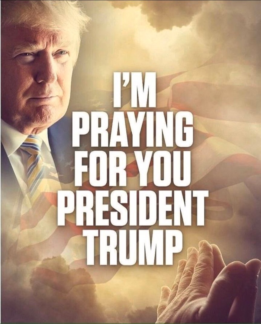 ここっち tweet media