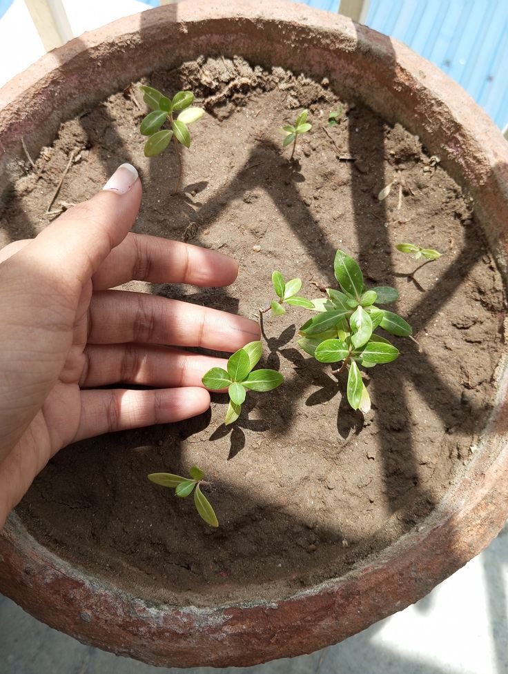 Queen Bees 🐝 tweet media