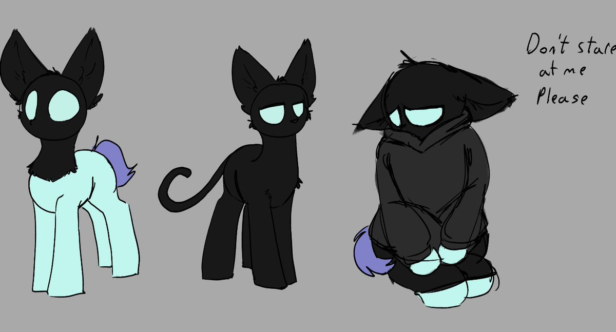 That weird cat pony