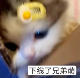 菠萝头🍍 tweet media