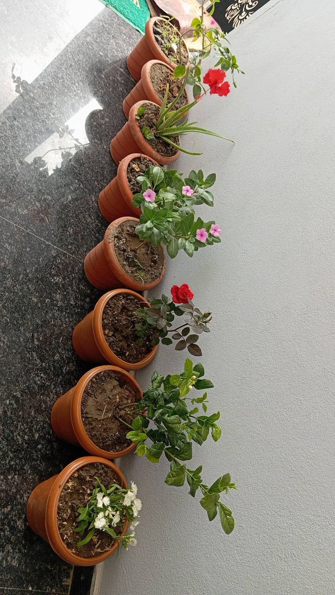 Crypto Enthusiast tweet media