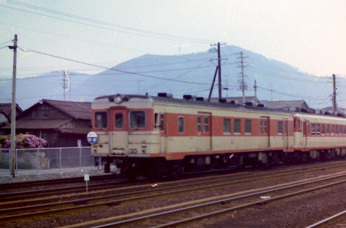 水色生活 tweet media