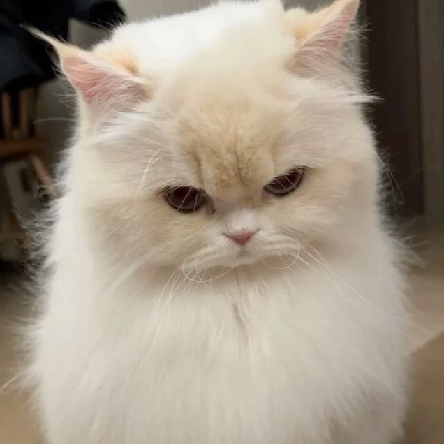 ᴡᴍʏᴍᴏᴍᴇɴᴛ. tweet media