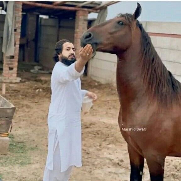 Muhammad Abdullah tweet media