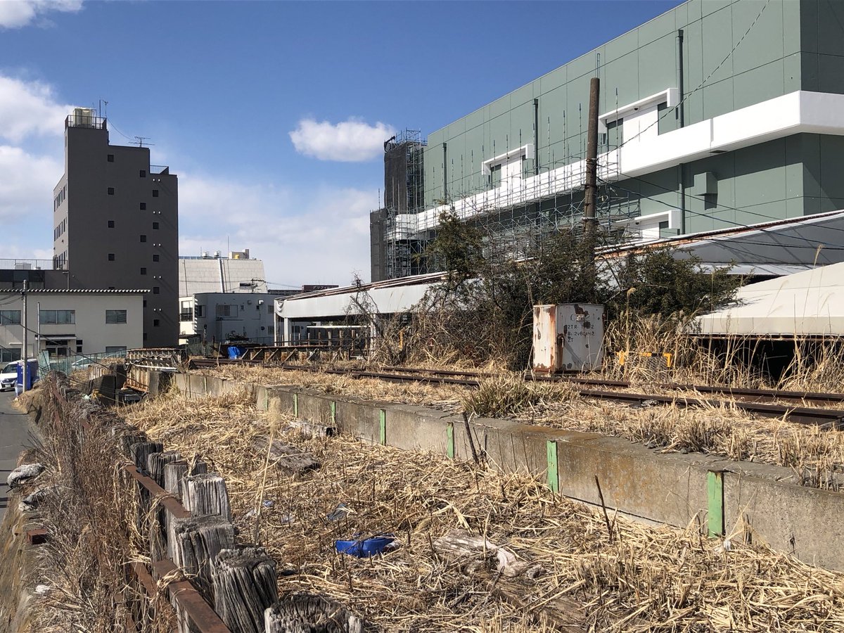 たんば💮 tweet media