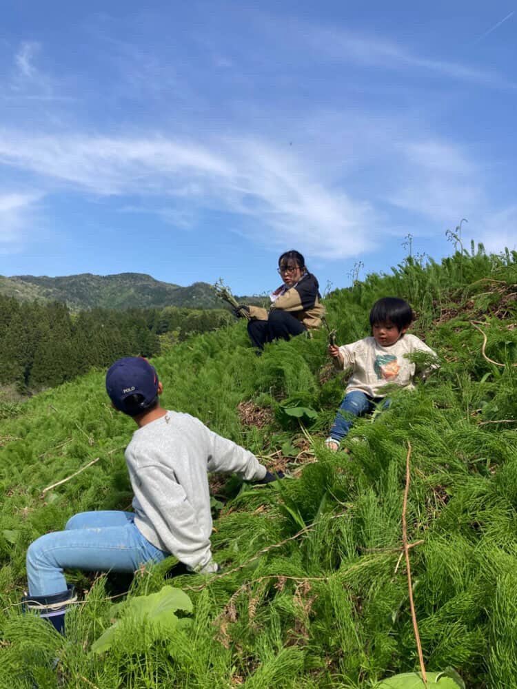 ちぇりー🍒世界一周＠能登半島 tweet media