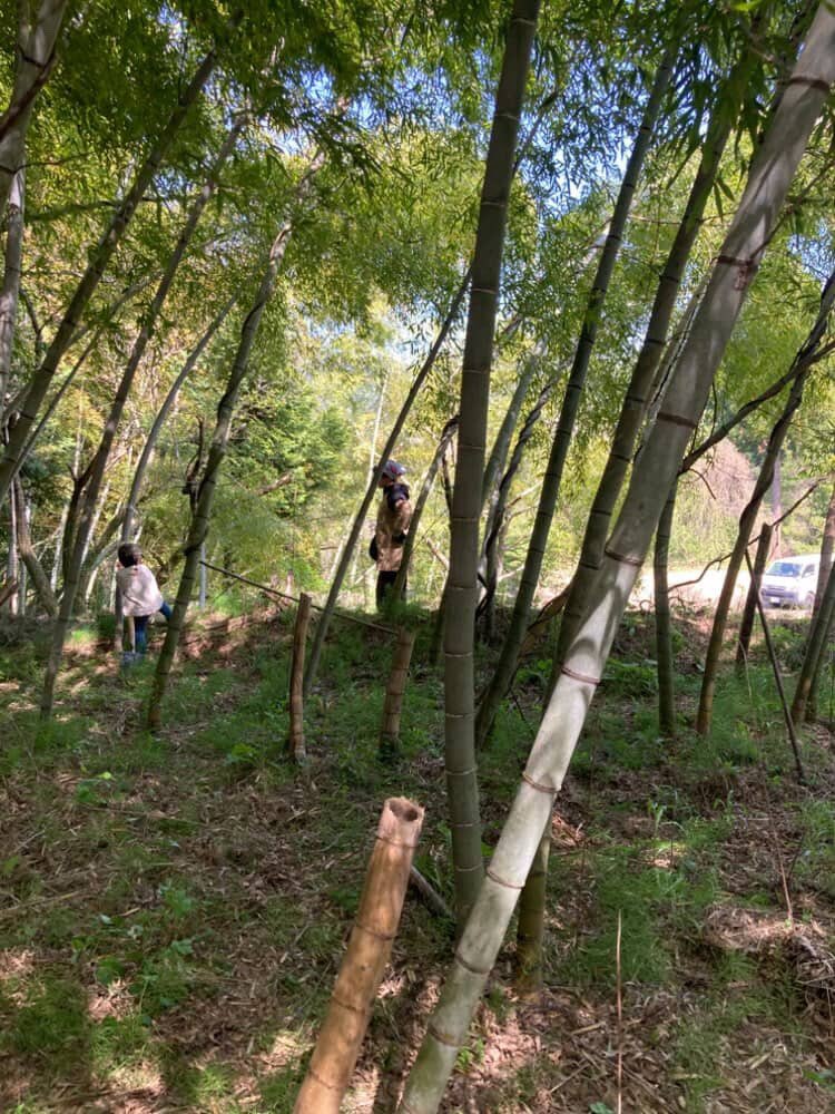 ちぇりー🍒世界一周＠能登半島 tweet media