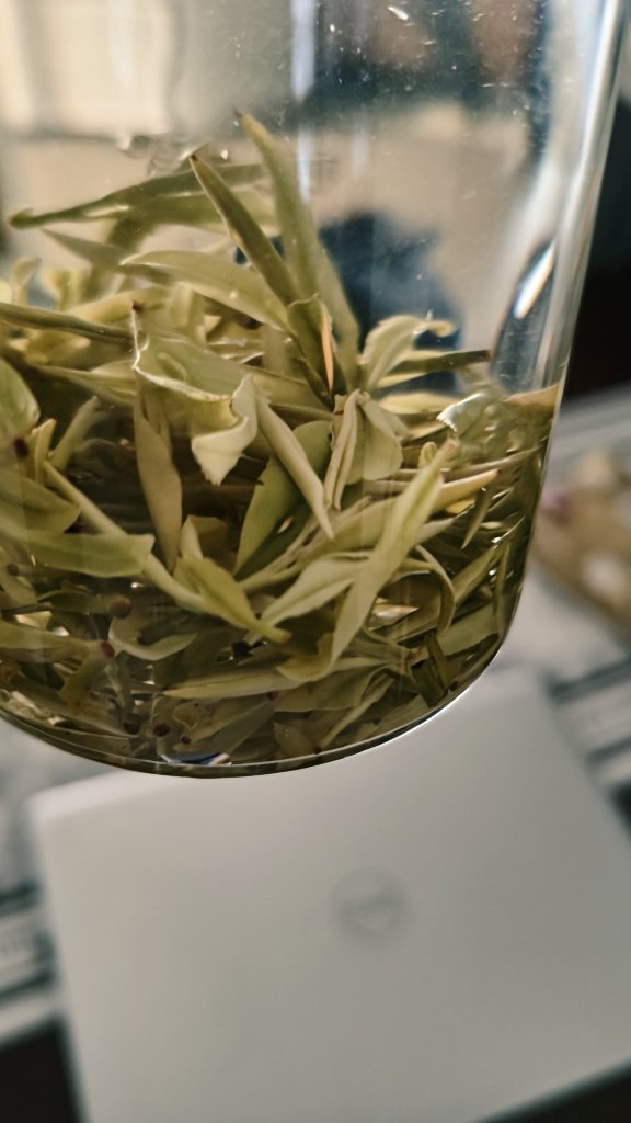 Paul Zhang tweet media