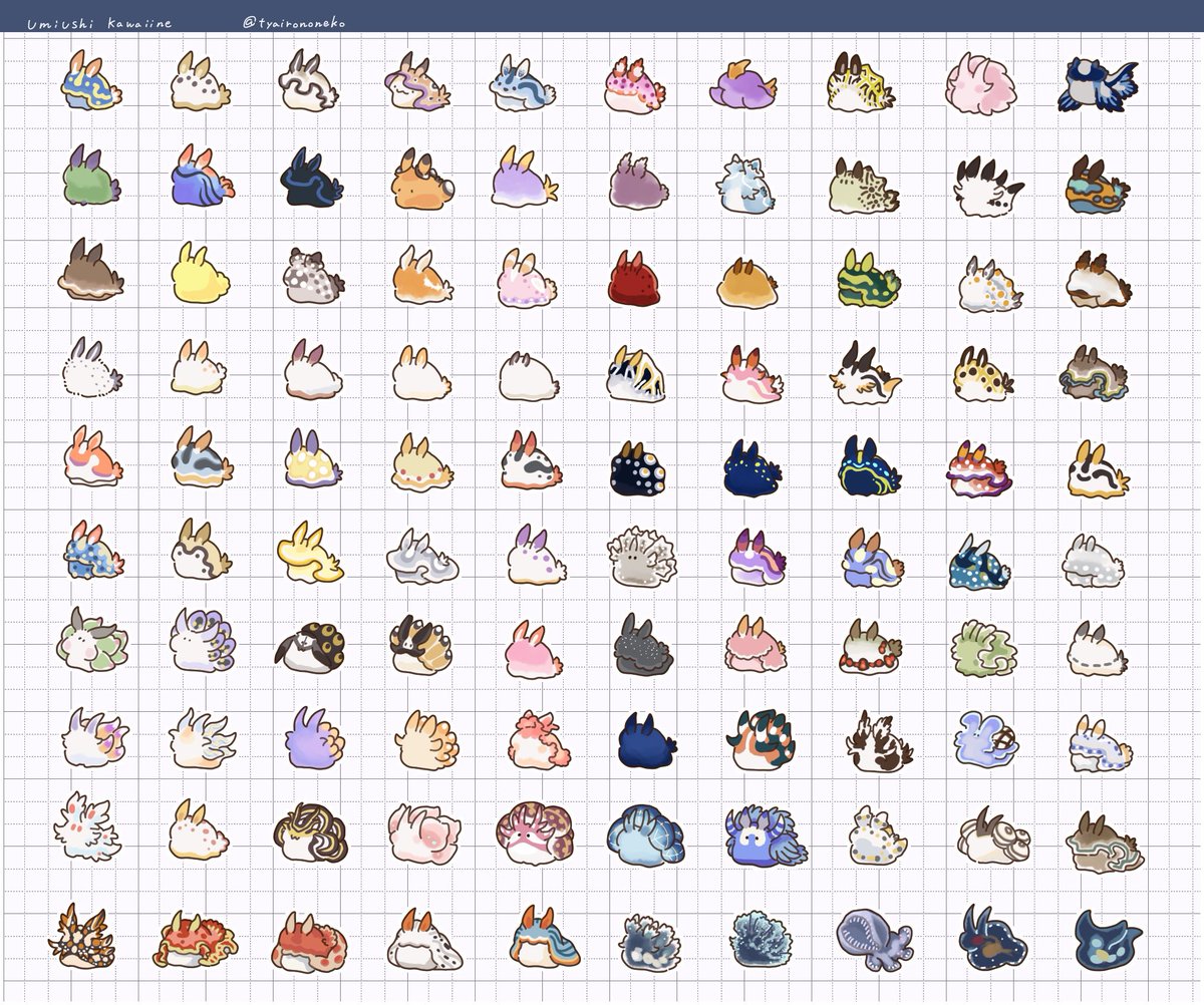 100ウミウシ描きました！
調べてわかったこと
•ウミウシは世界に3000種類以上いる
•面白い外見や名前のウミウシがたくさんいる
•かわいい