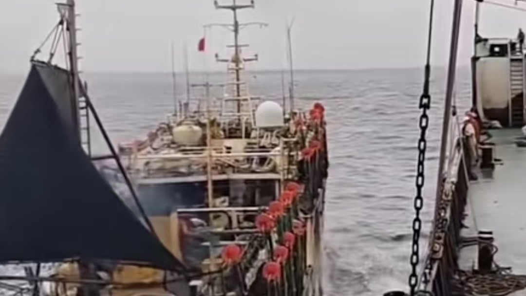 kono2012_'s tweet image. These heavy-duty marine pneumatic fenders absorb impact between vessels, keeping both ships and crews safe during docking and at sea. #MarineSafety #ShipBerthing #PneumaticFenders #MaritimeProtection #VesselSafety