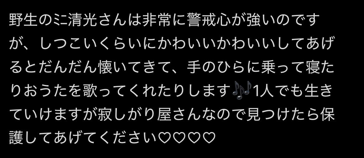 ｩﾌﾟﾎﾟﾖ tweet media