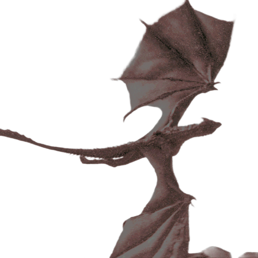 ᅠ ᅠ𝓢𝑰𝑳𝑽𝑬𝑹 𝓕𝑼𝑹𝒀 tweet media