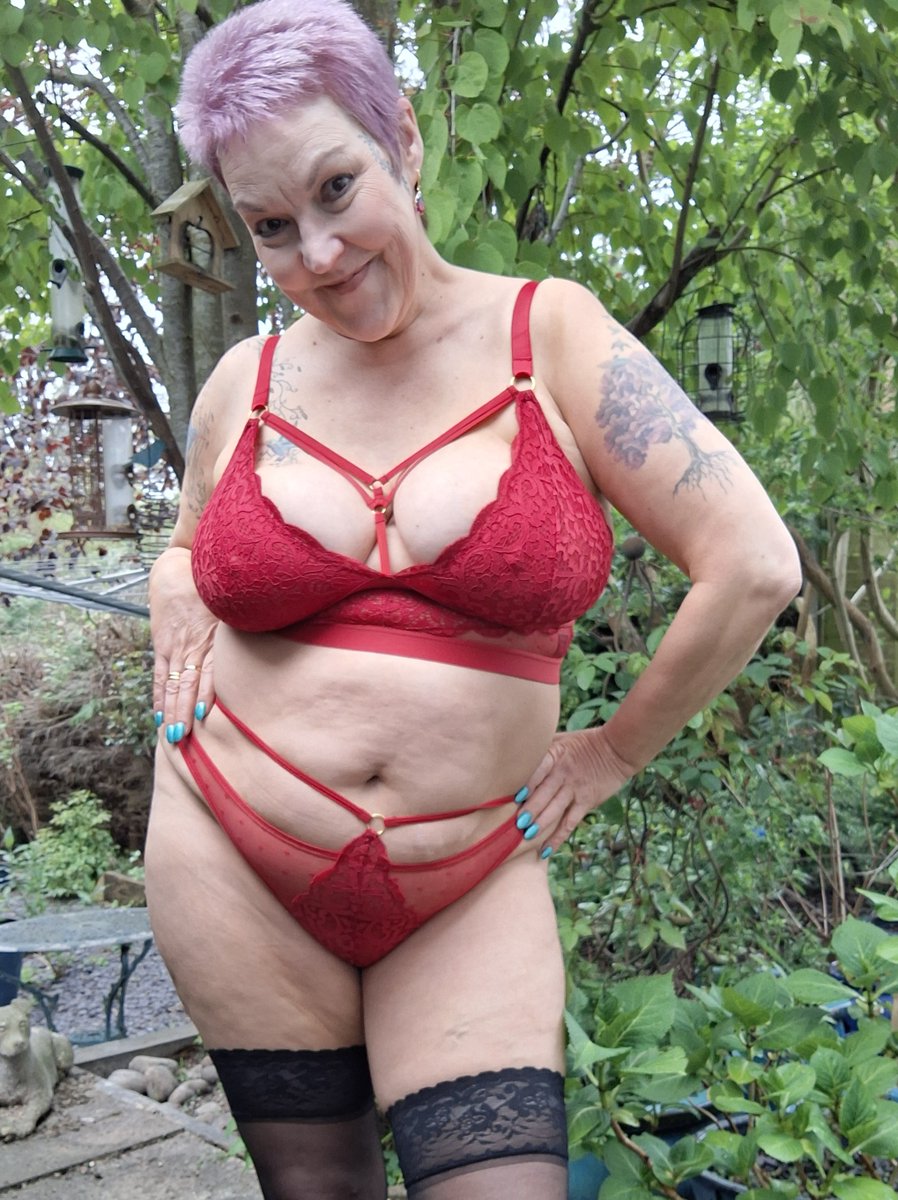 Ladybird tweet media