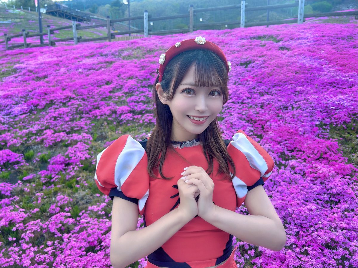 芝桜まつり ありがとうございました✨ 大満開の芝桜🌸 『激辛ife』の