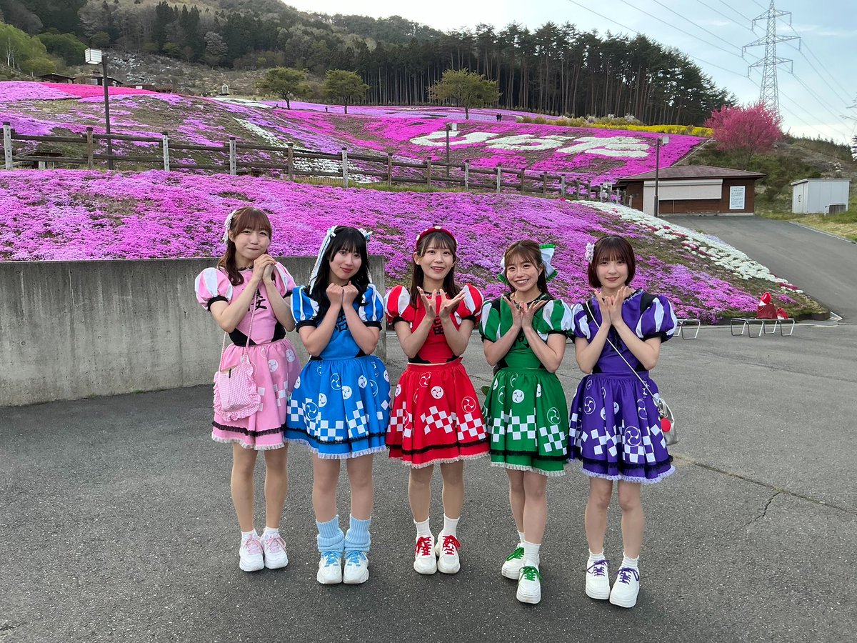芝桜まつり ありがとうございました✨ 大満開の芝桜🌸 『激辛ife』の