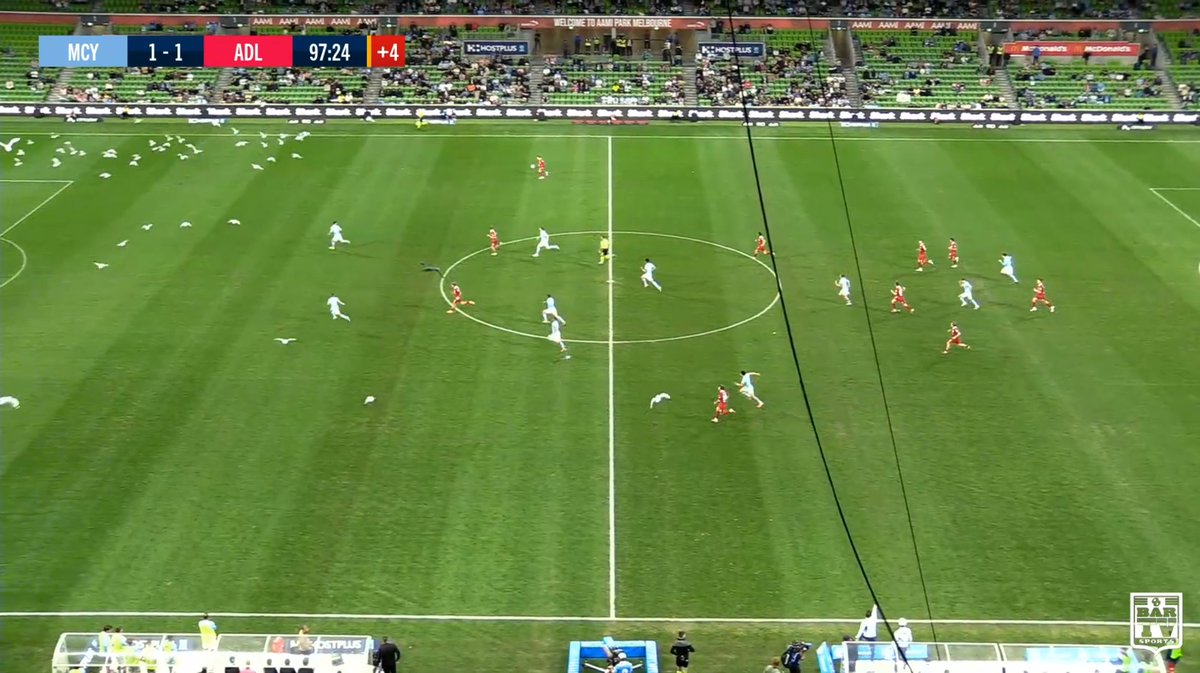 Aus Tactics tweet media