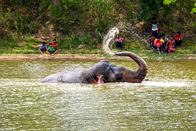 AIRNewsHindi's tweet photo. 📍 झारग्राम, पश्चिम बंगाल

🐘बढ़ते तापमान के बीच, भीषण गर्मी से राहत पाने के लिए एक हाथी तालाब में नहा रहा है। यह शांत और मनमोहक दृश्य प्रकृति और वन्यजीवों के बीच अद्भुत संतुलन को दर्शाता है। 🌿☀️ https://t.co/sHkFe48eVd