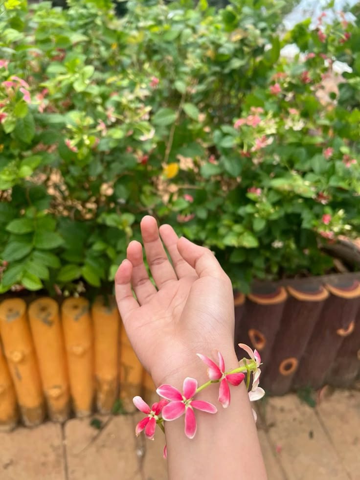 Muhammad Asif Ahmmad Shovon tweet media